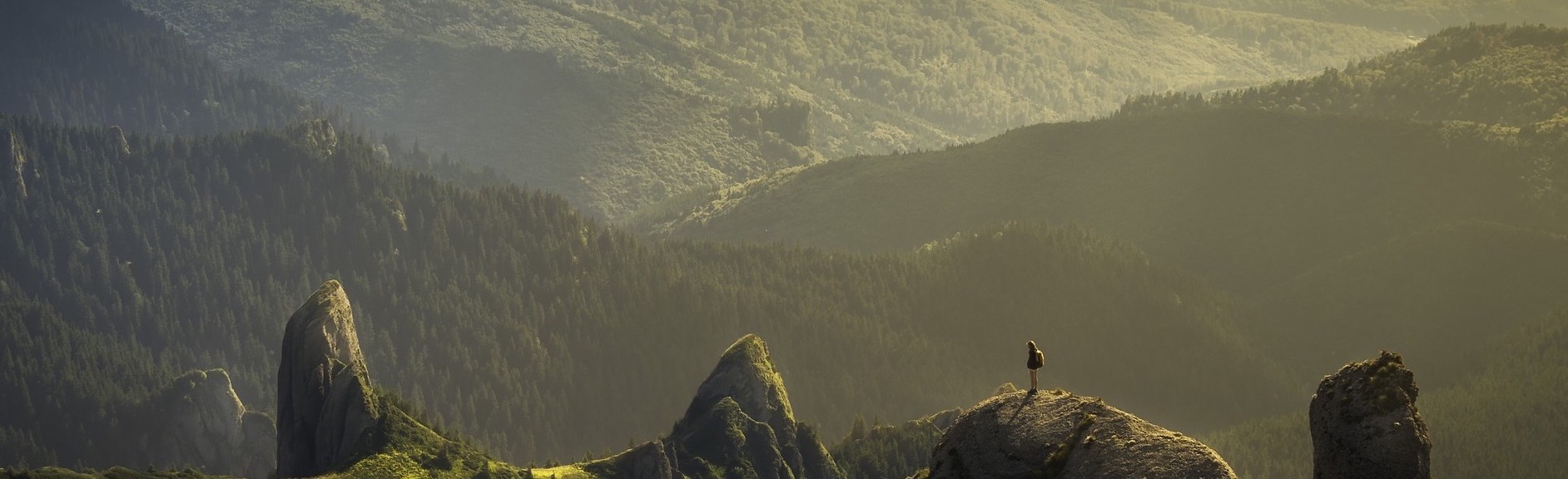 Bezpłatne szkolenia dla fizjoterapeutów - dofinansowania